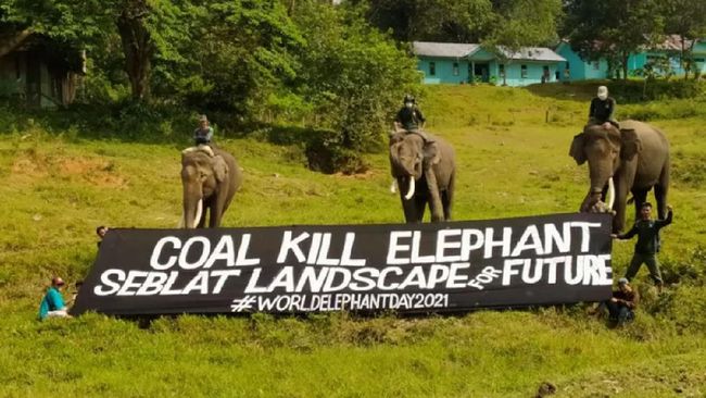 TWA Seblat yang juga pusat pelatihan gajah dimana tempatnya indah dan alamnya masih sejuk, untuk itu kami minta kepada Pemerintah Kabupaten (Pemkab) Bengkulu Utara agar dapat di promosikan secara aktif sehingga menjadi daya tarik wisatawan untuk berkunjung," kata Sujono, Sabtu