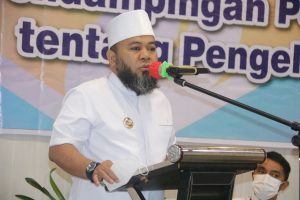 Walikota Helmi Hasan