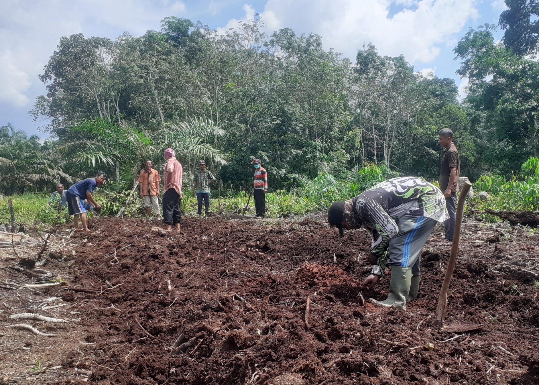 dinas pertanian provinsi Bengkulu yang bekerjasama dengan kabupaten harus mengatur ritme kondisi