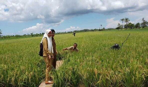 Dengan program sensus pertanian ini diharapkan data petani maupun lahan pertanian yang ada di daerah bisa terinvetarisir by data.