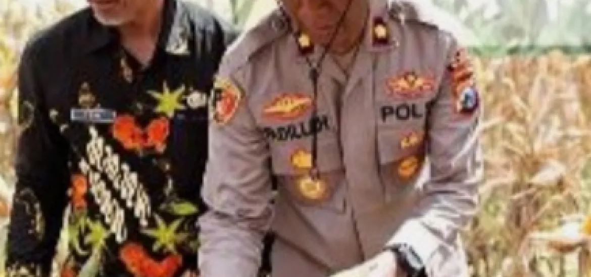 Sinergi Blitar Wujudkan Kedaulatan Pangan Lewat Panen Raya Jagung. Foto: Ulfa/Indonesiaraja.com